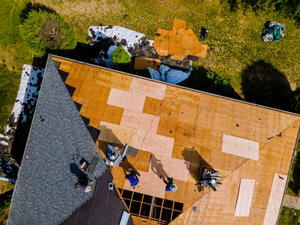 Best Roof Leak Repair  in Glennville, GA