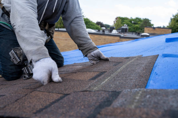 Roof Waterproofing Services in Glennville, GA