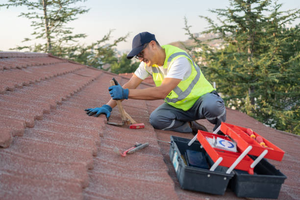 Best Gutter Installation and Roofing  in Glennville, GA