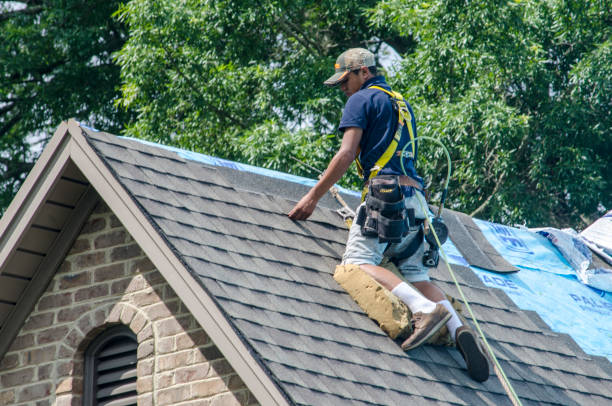 Best Sealant for Roof  in Glennville, GA